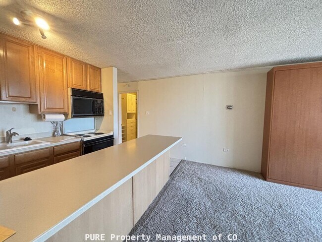 Building Photo - Large furnished studio apartment!