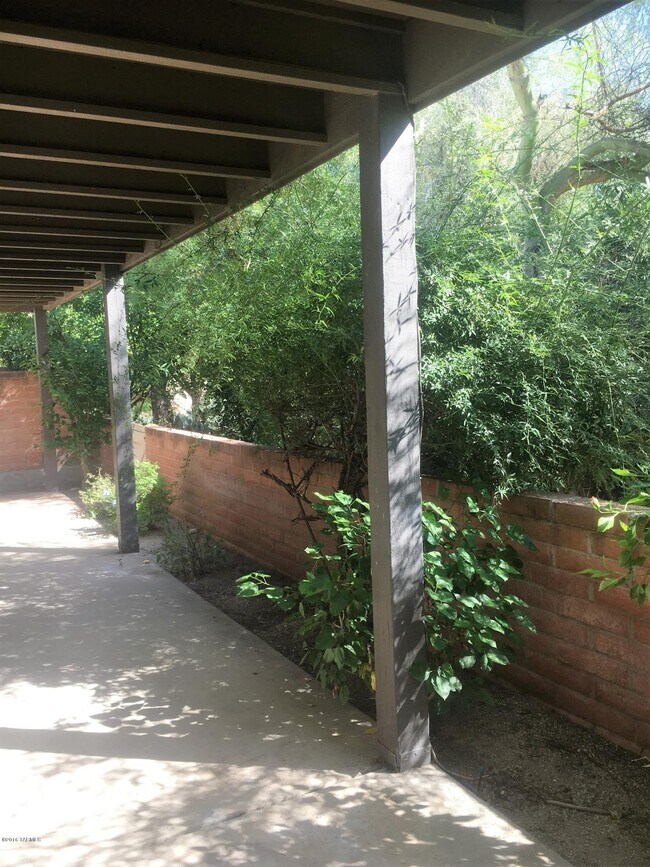 Building Photo - 4846 E Placita Arenosa