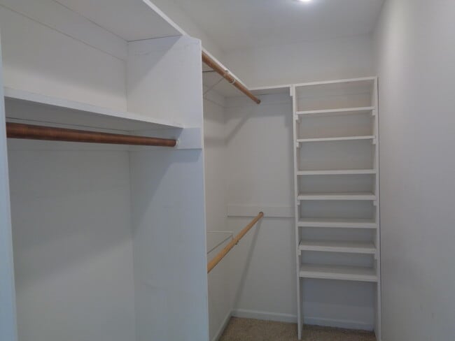 Building Photo - 3801 Blue Cedar Ln