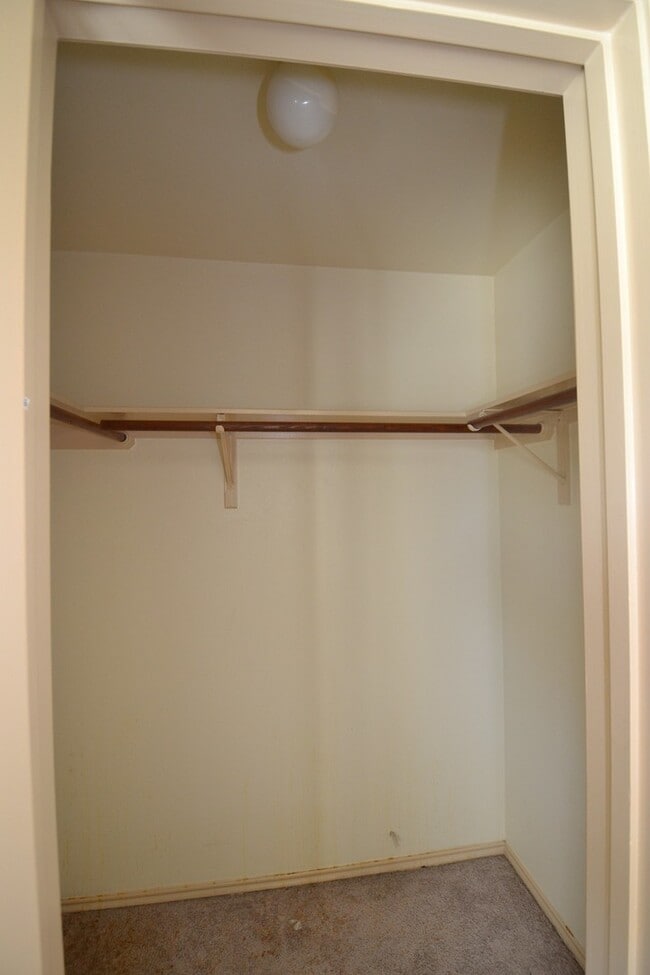 Building Photo - Meador-6912