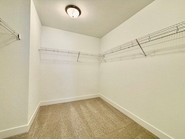 Building Photo - Beautiful Newly Built Home in North Fort C...