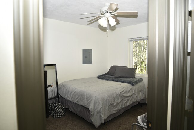 Building Photo - 3360 Patti Dr
