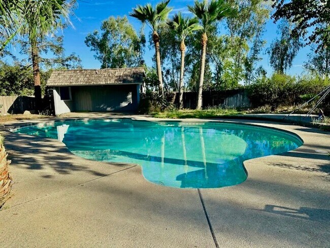 Building Photo - $3,300 Fowler & Shepherd, Solar & Swimming...