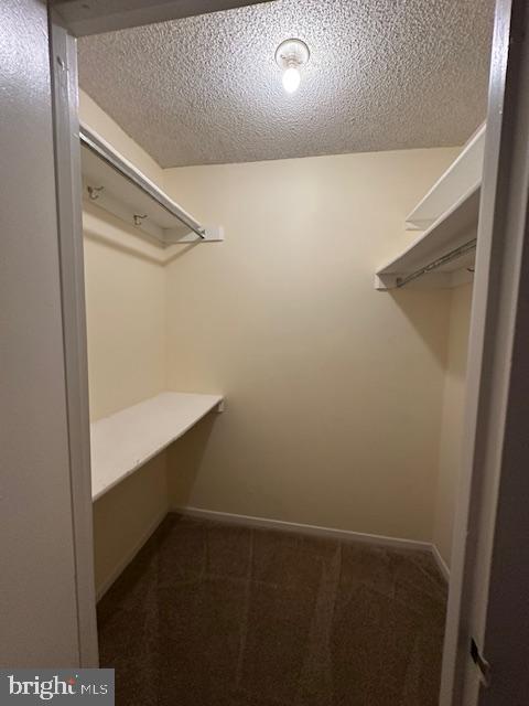Building Photo - 3705 S George Mason Dr