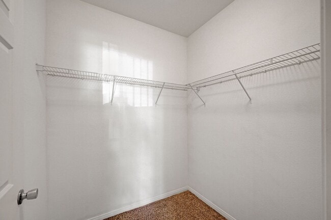 Building Photo - Charming 3-bed, 2-bath Downstairs Unit