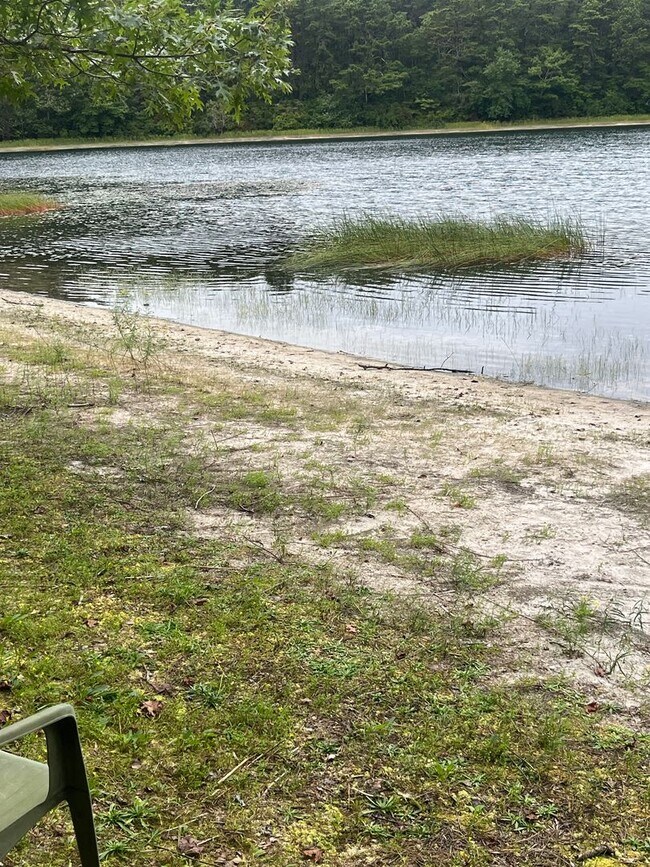 Building Photo - Fully updated 2Bd / 2Br Bassett Pond Condo...