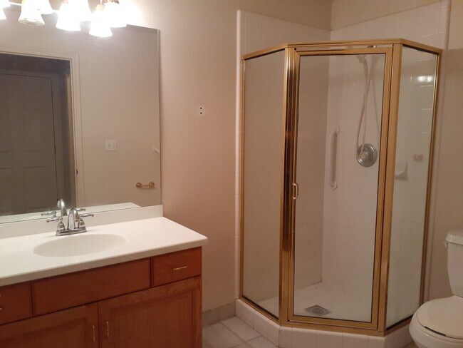Master bath - 11075 S Grape Arbor Pl