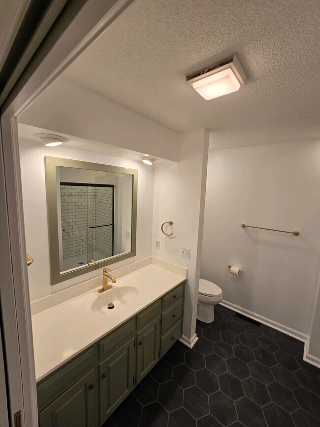 Updated master bathroom - 109 Pelham Dr