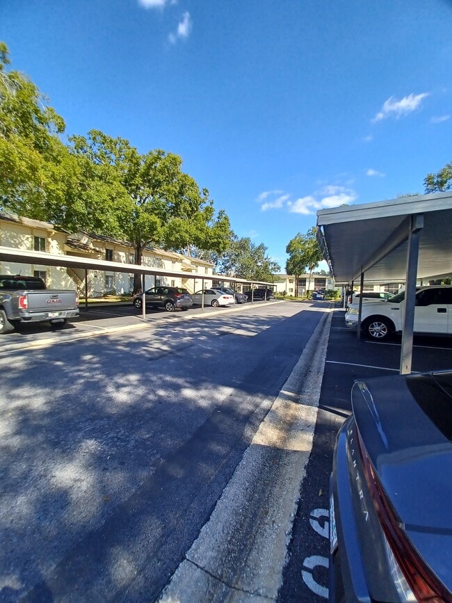 Building Photo - 114 Palmetto Ct