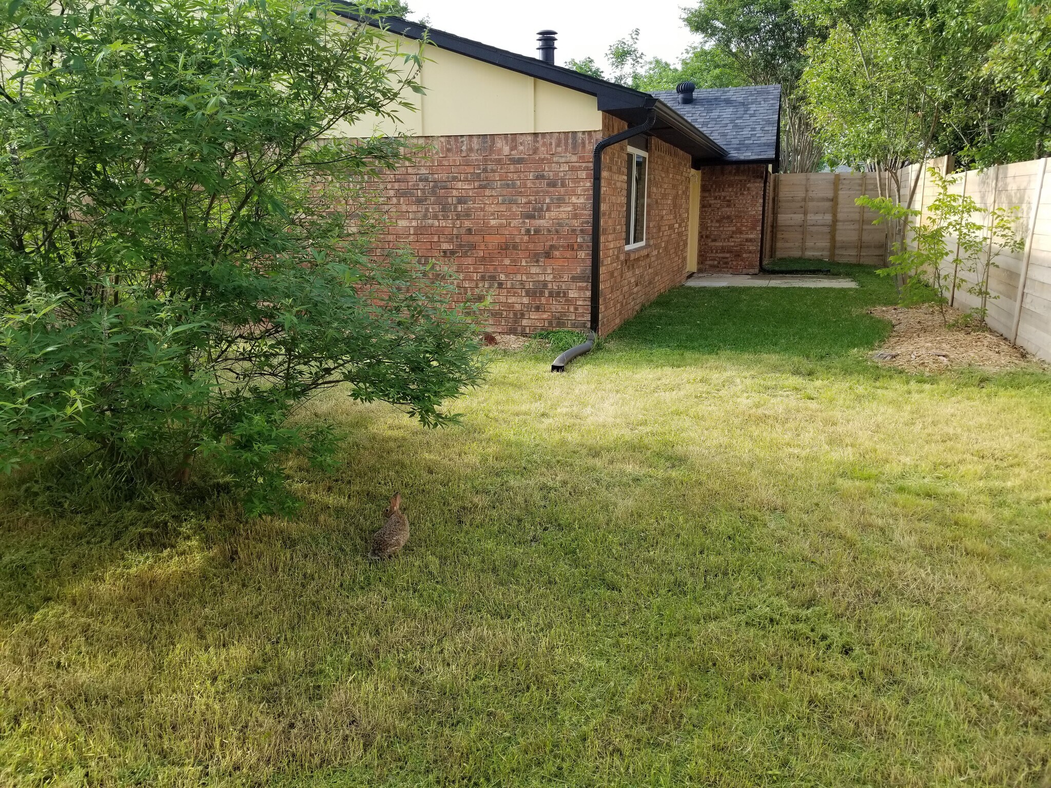 Building Photo - 4813 Wagner Dr