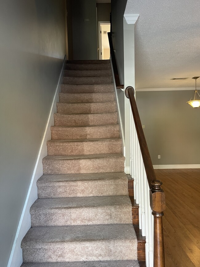 Carpeted stairwell - 385 Old Epps Bridge Rd