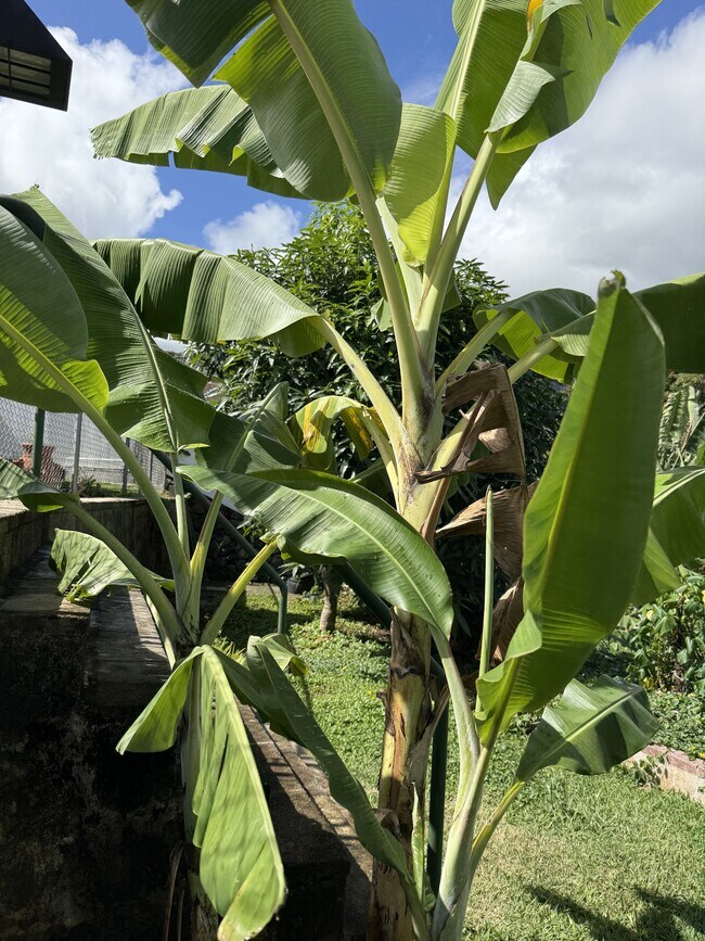 Building Photo - 46-305-305 Hoauna St