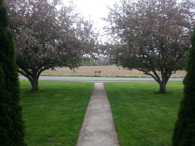 Front Porch to Mailboxes - 200 Carpenter Rd