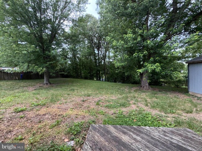 Building Photo - 2063 Red Spruce Ct