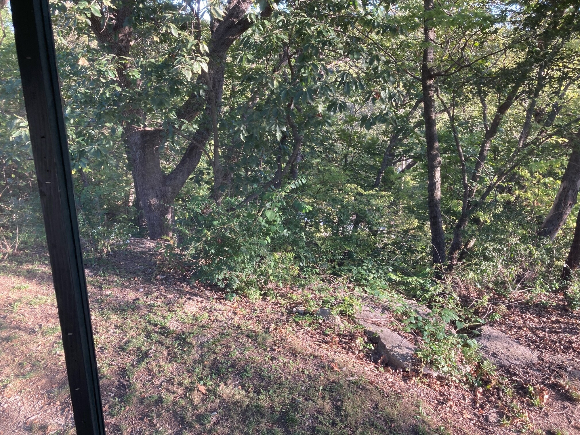 Building Photo - 11311 E 87th St