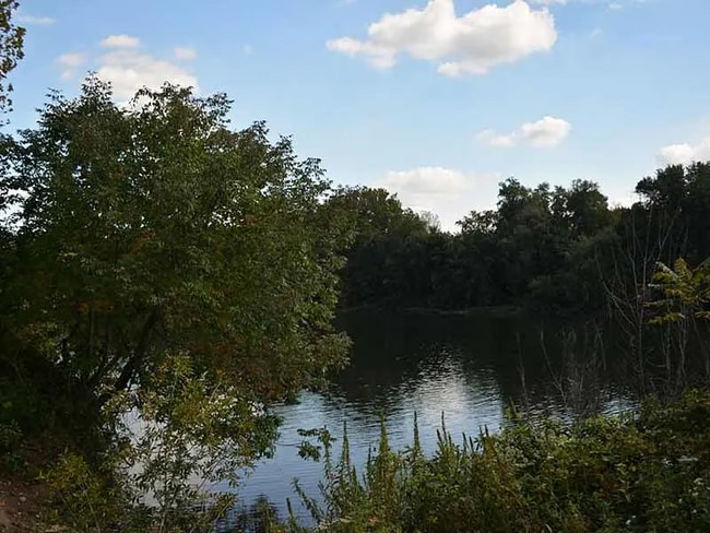 Building Photo - 1776 Patriots Ln