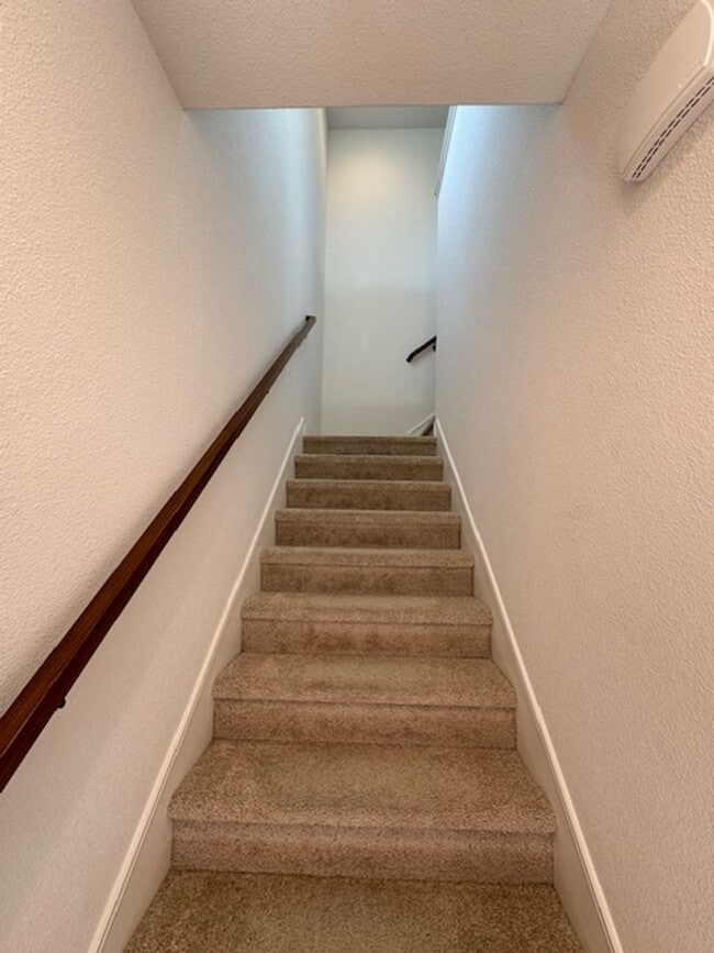 Building Photo - Brand New Studio Available Now!  1/2 off 1...