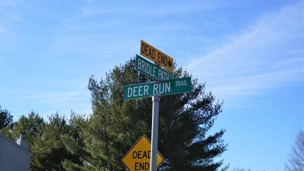 Building Photo - 217 Deer Run Trail