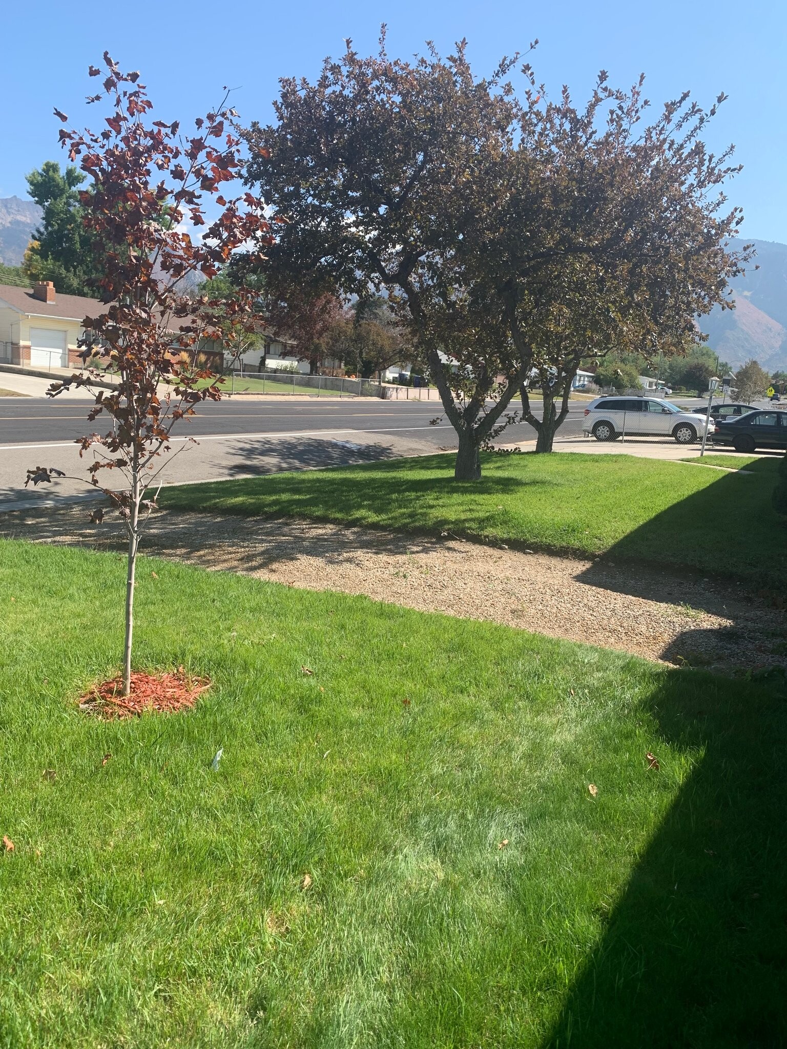 Building Photo - 9902 E Sego Lily Dr