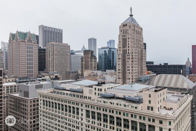 Building Photo - 2 bedroom in Chicago IL 60607