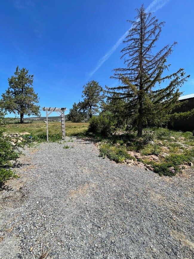 Building Photo - Rural living at its finest!  Large 3bdrm 2...
