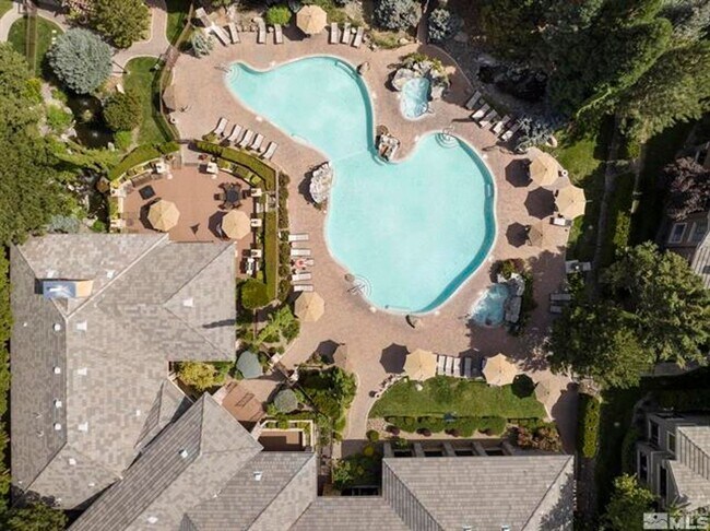 Building Photo - Tanamera 1 bedroom special!