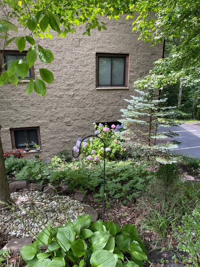 Building Photo - COZY & CONVENIENT!!!!