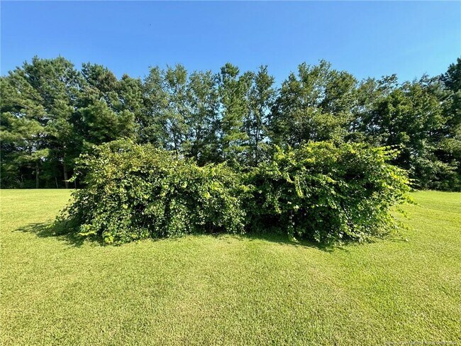 Building Photo - 243 Trace Ln