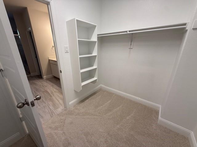 Building Photo - 317 Blackthorne Dr