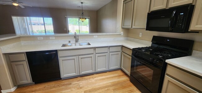 Building Photo - 2 bed 2 bath Franklin patio home in Sun City Anthem!