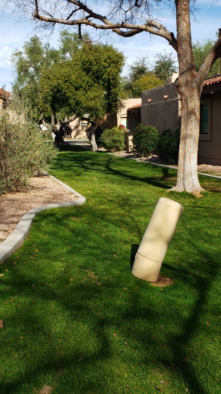 Building Photo - 6439 N 77th Pl