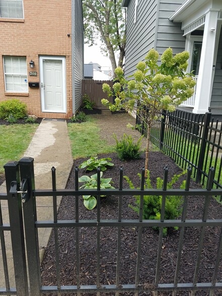 front yard landscaping - 366 E Mithoff St