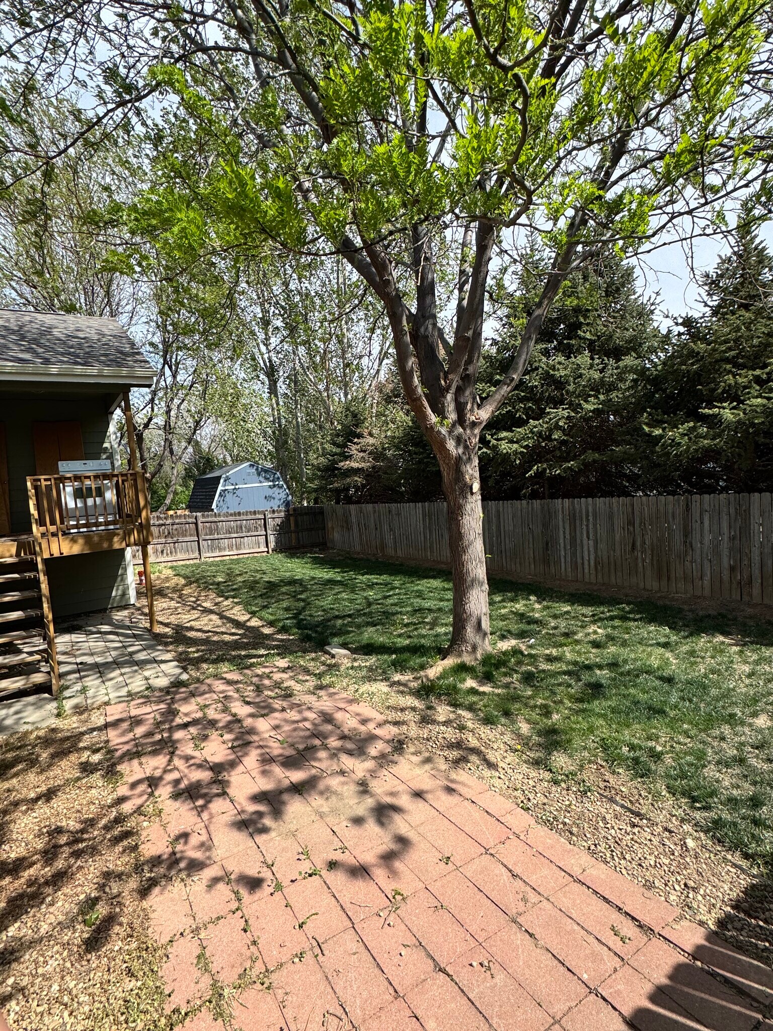 Backyard - 1908 Sherwood Ln