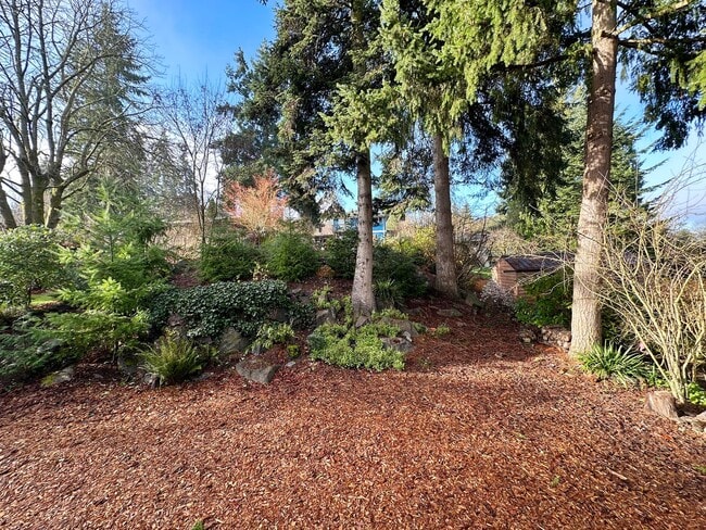 Building Photo - 4bd/2.5ba Seattle Home