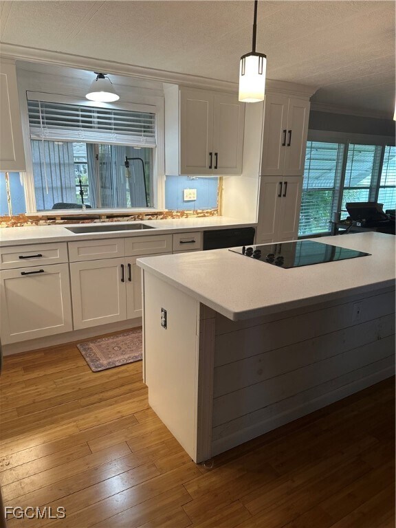 Building Photo - 148 Norfolk Pine Ln