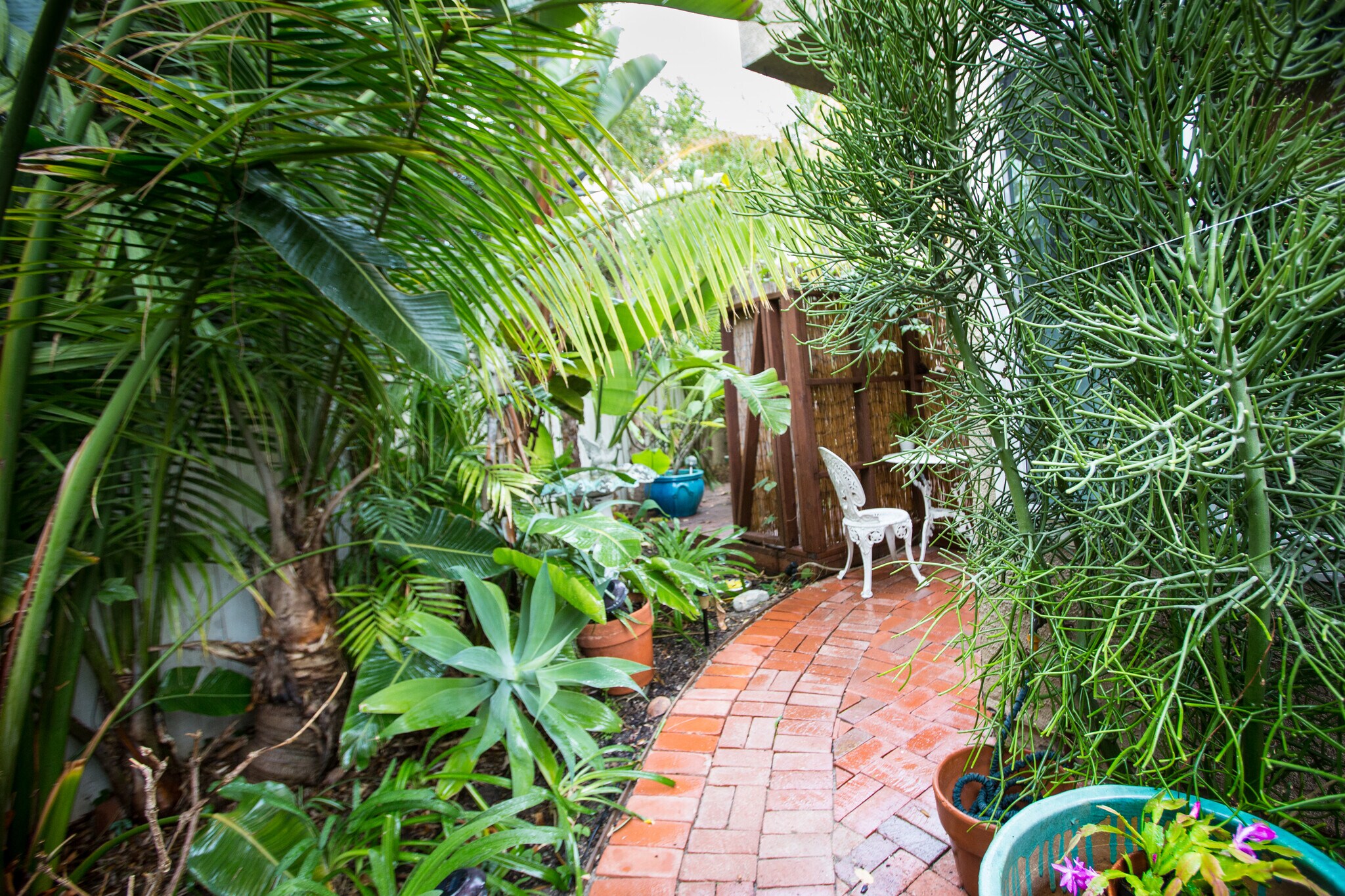 Building Photo - 21 Woodswallow Ln