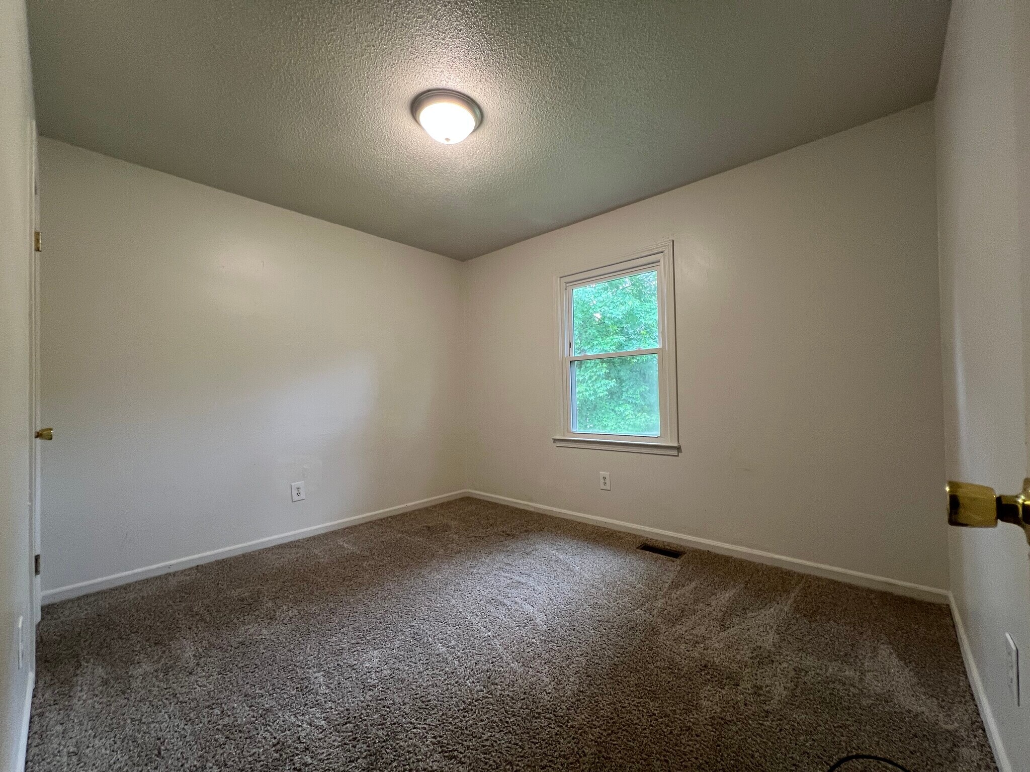 Building Photo - 1804 Alpine Dr
