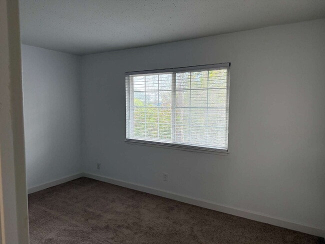 Building Photo - Remodeled Santa Cruz Apartment