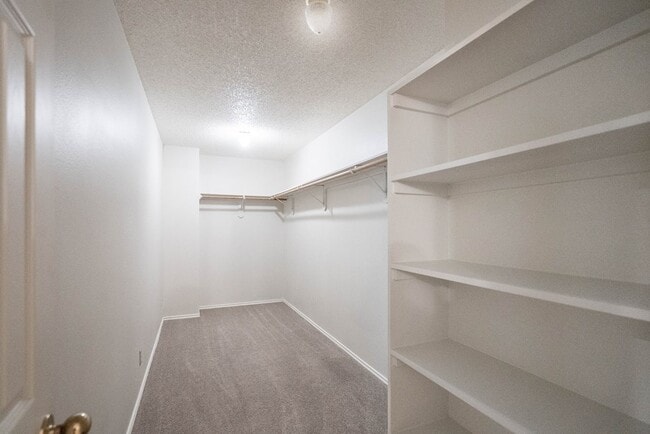 Building Photo - 8121 San Antonio St