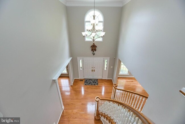 Building Photo - 2859 Cherry Branch Ln