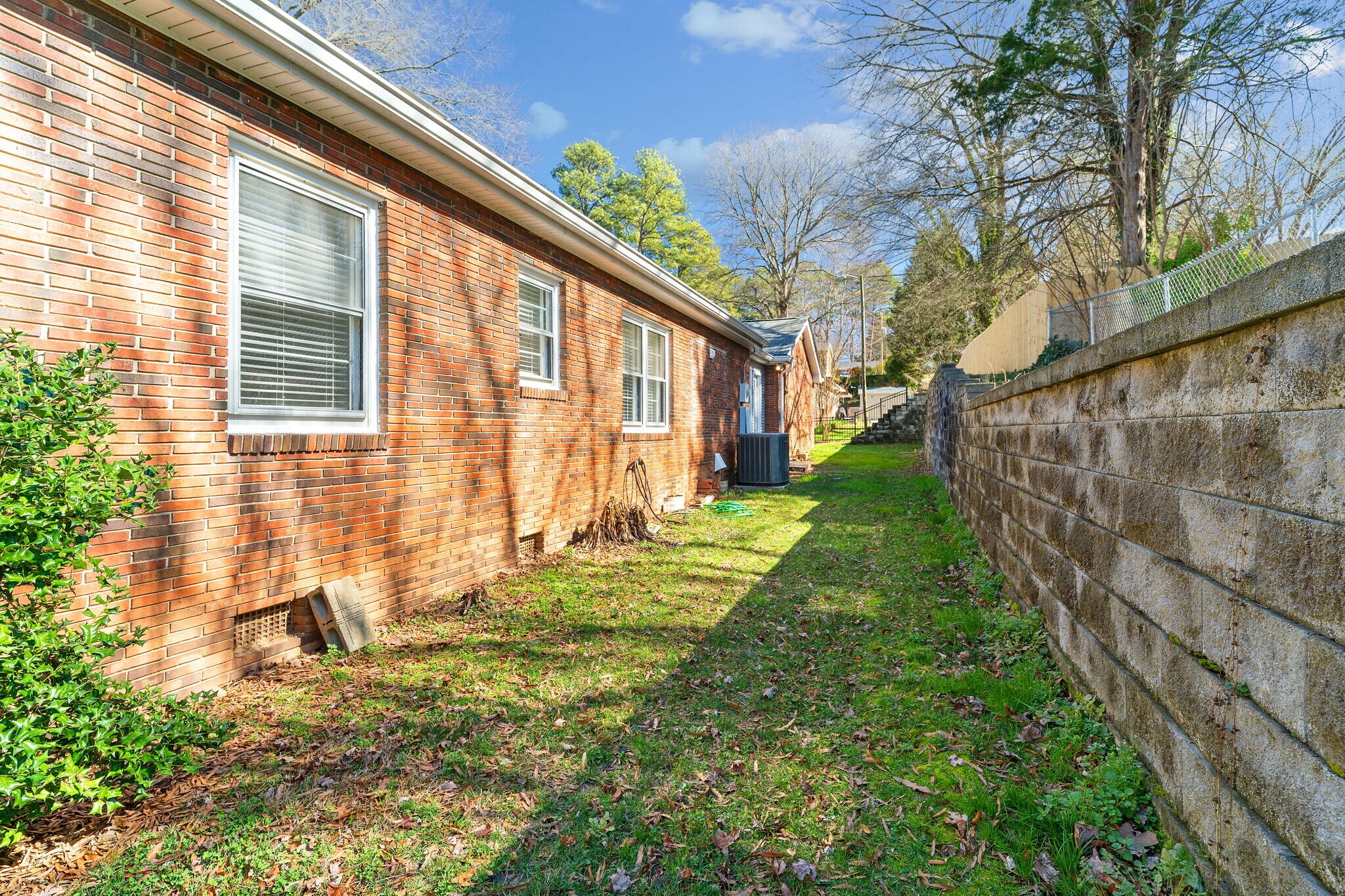 Back Yard - 415 Hudson St