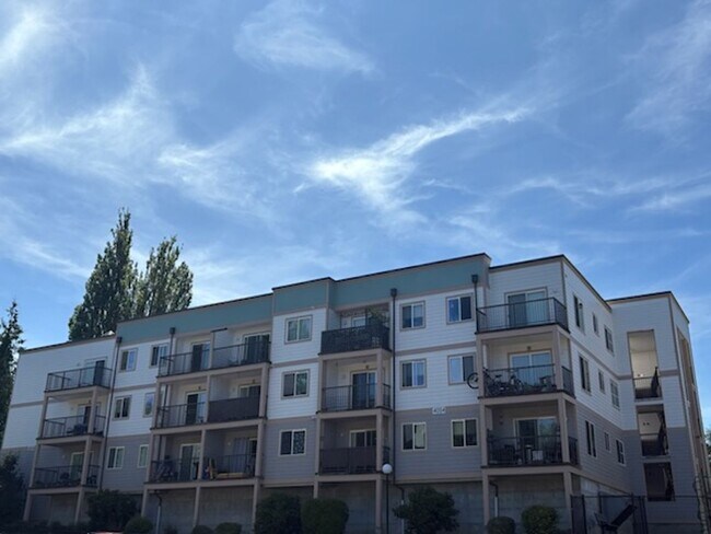 Primary Photo - Discover your new home at Belleau Woods Ap...