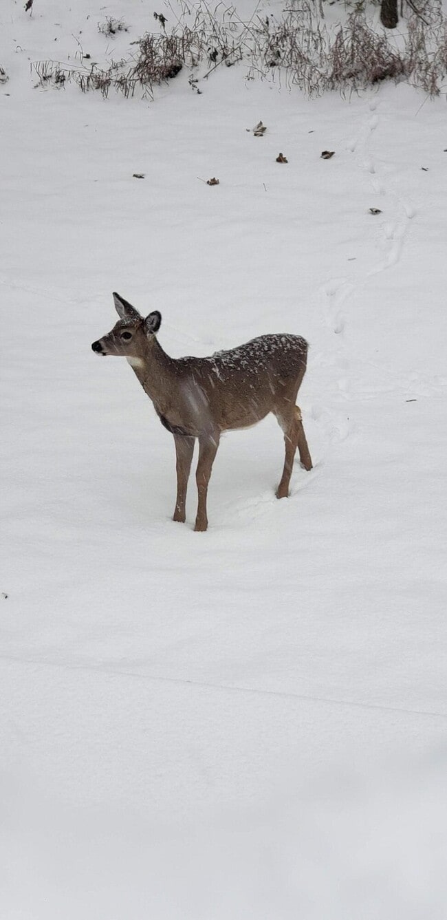 Building Photo - 607 Tamarack Dr W