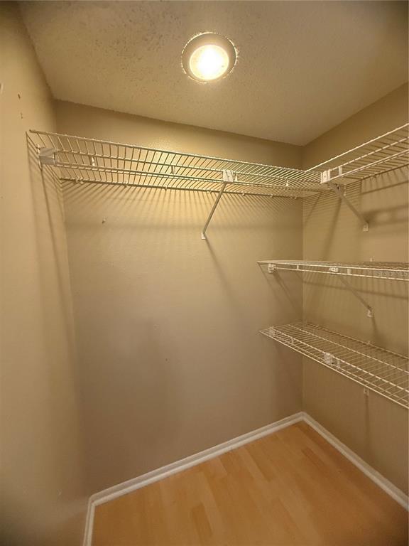 Building Photo - 208 Palmetto Ct