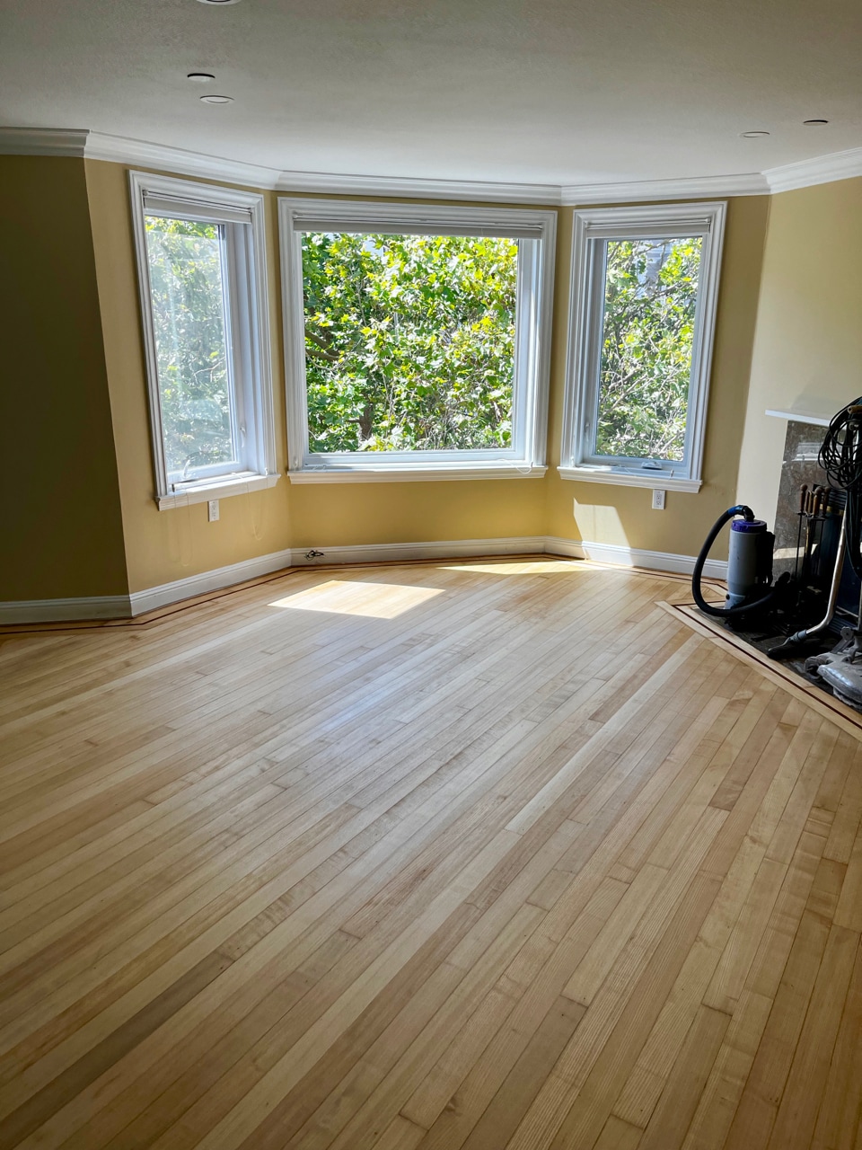 Living Room - 2016 Pacific Ave
