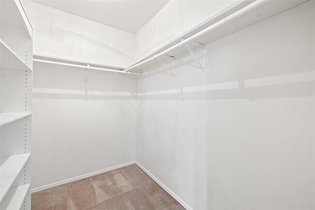 Building Photo - 12416 Deer Falls Dr