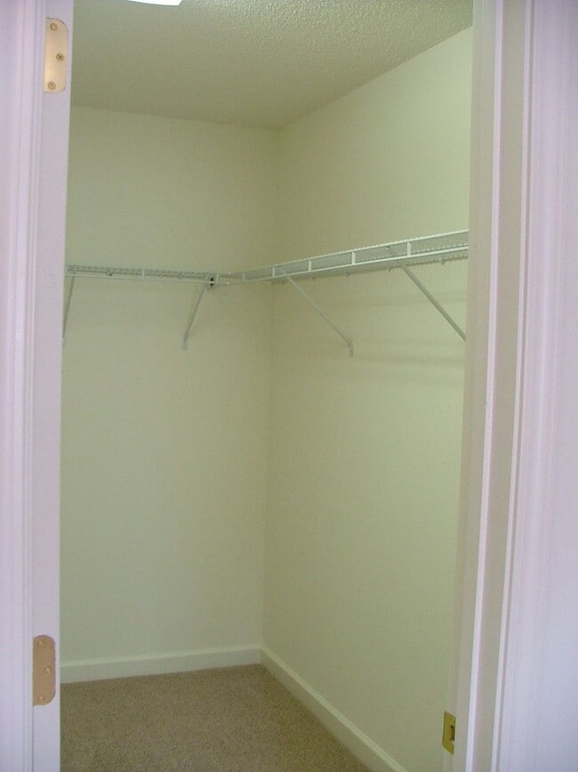 Building Photo - 183 Clusters Cir