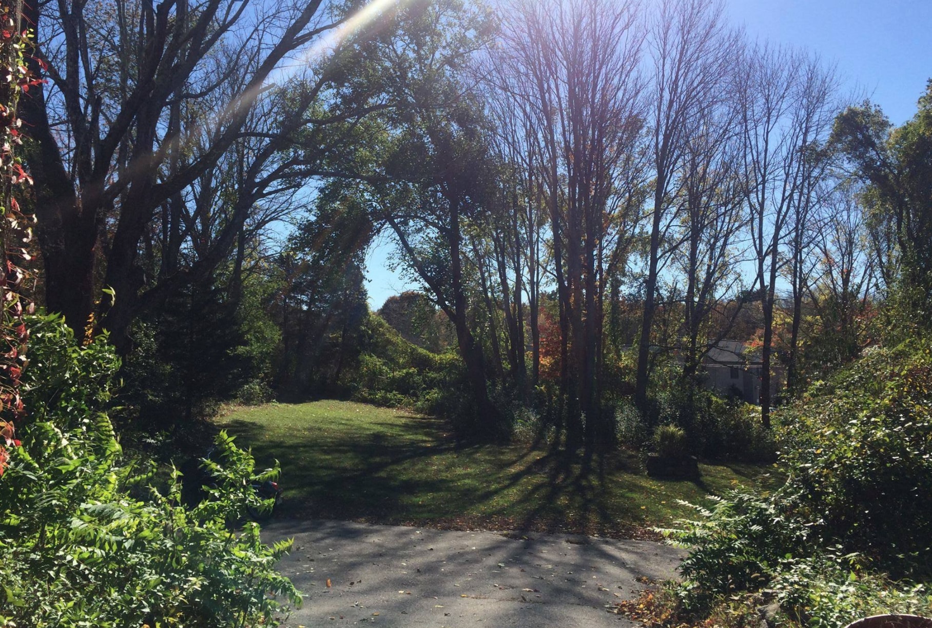 Backyard - 351 N Main St