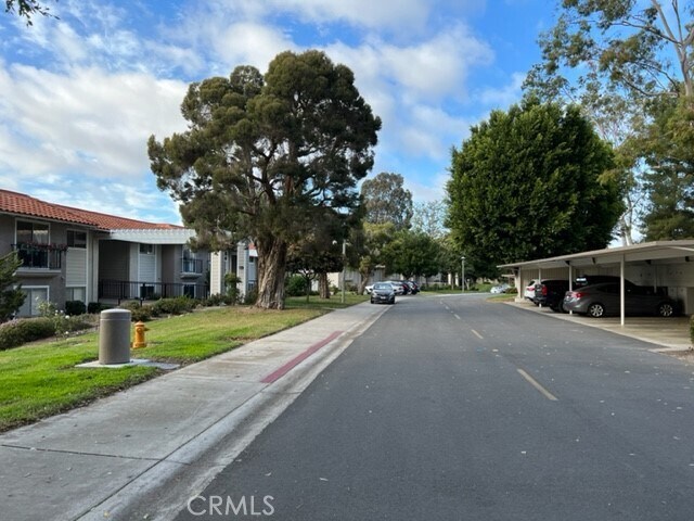 Building Photo - 3300 Via Carrizo