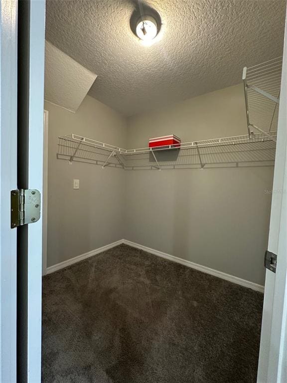 Building Photo - 224 Paloma Dr